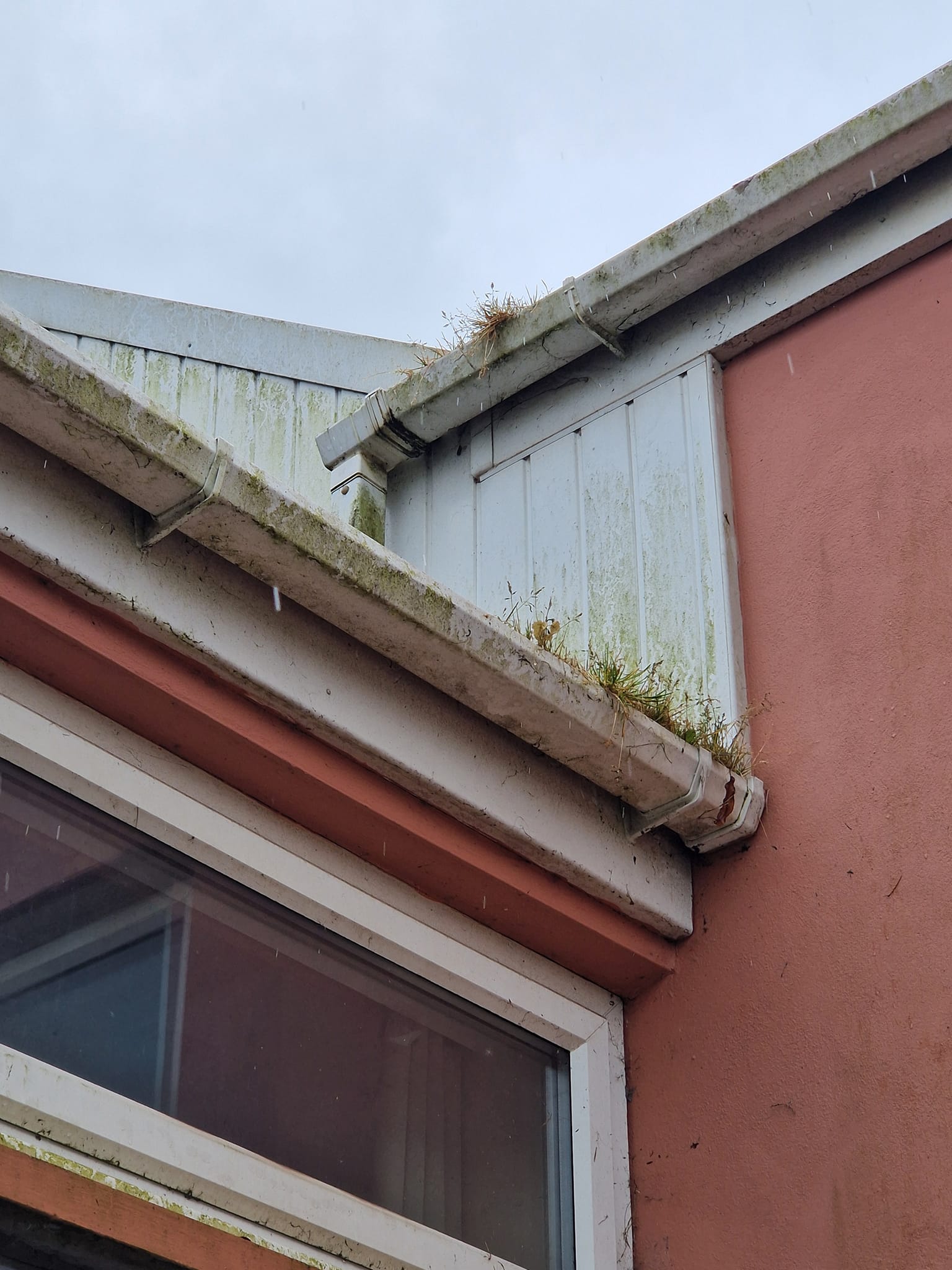 gutter cleaning in Pembrokeshire & Carmarthenshire