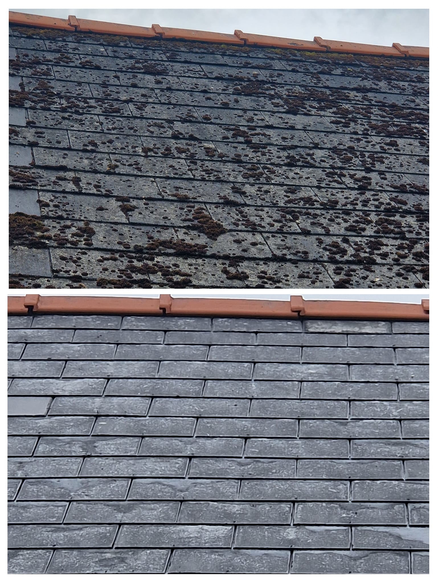 roof cleaning in Pembrokeshire