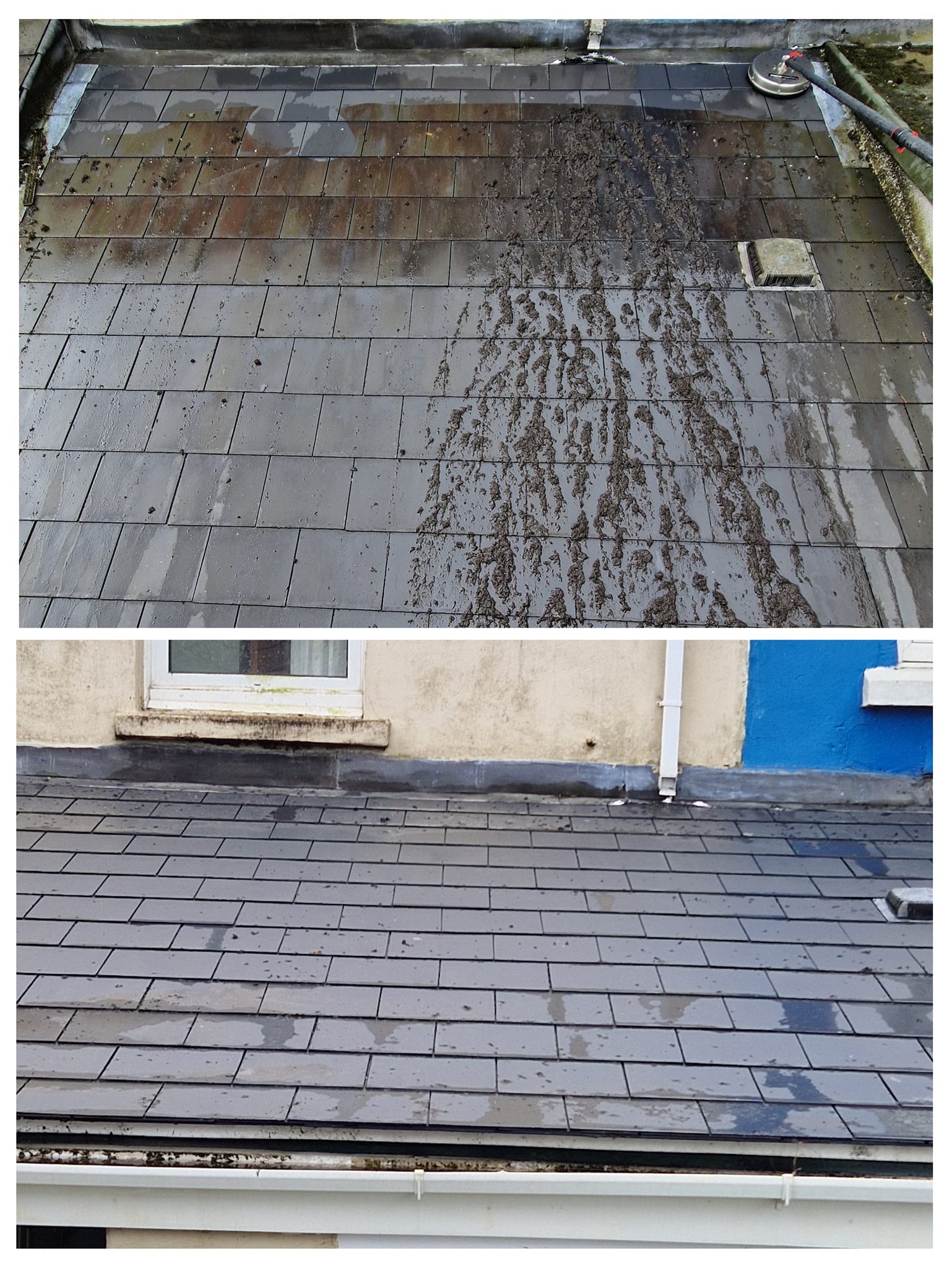 roof cleaning in Pembrokeshire