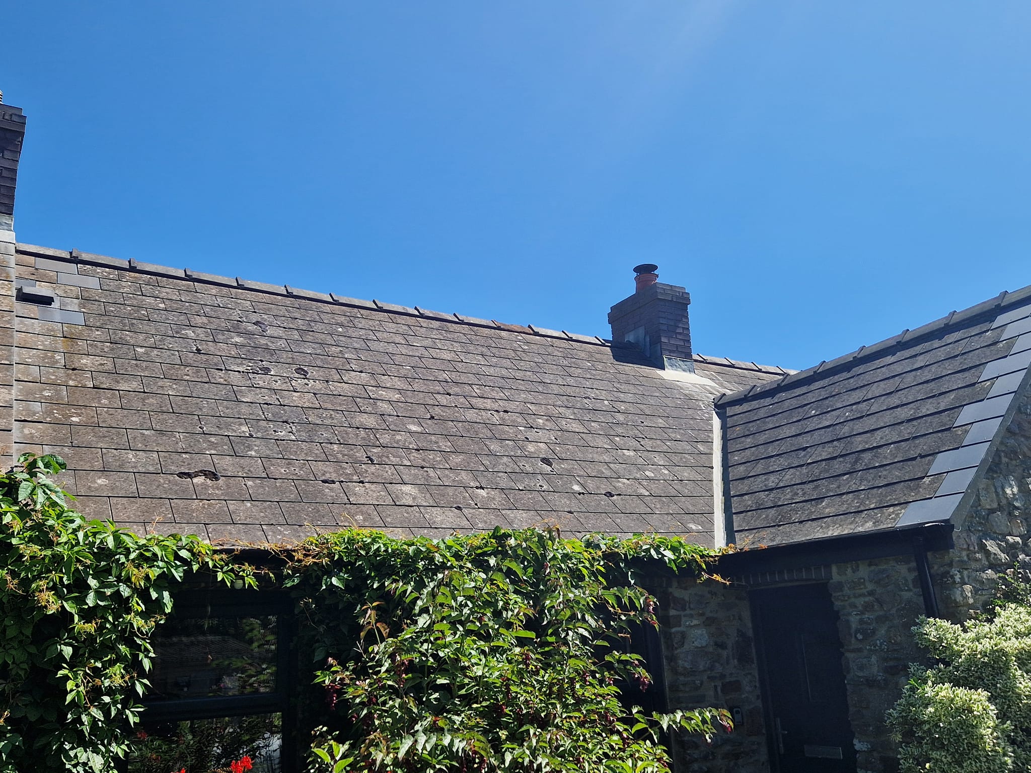 roof cleaning