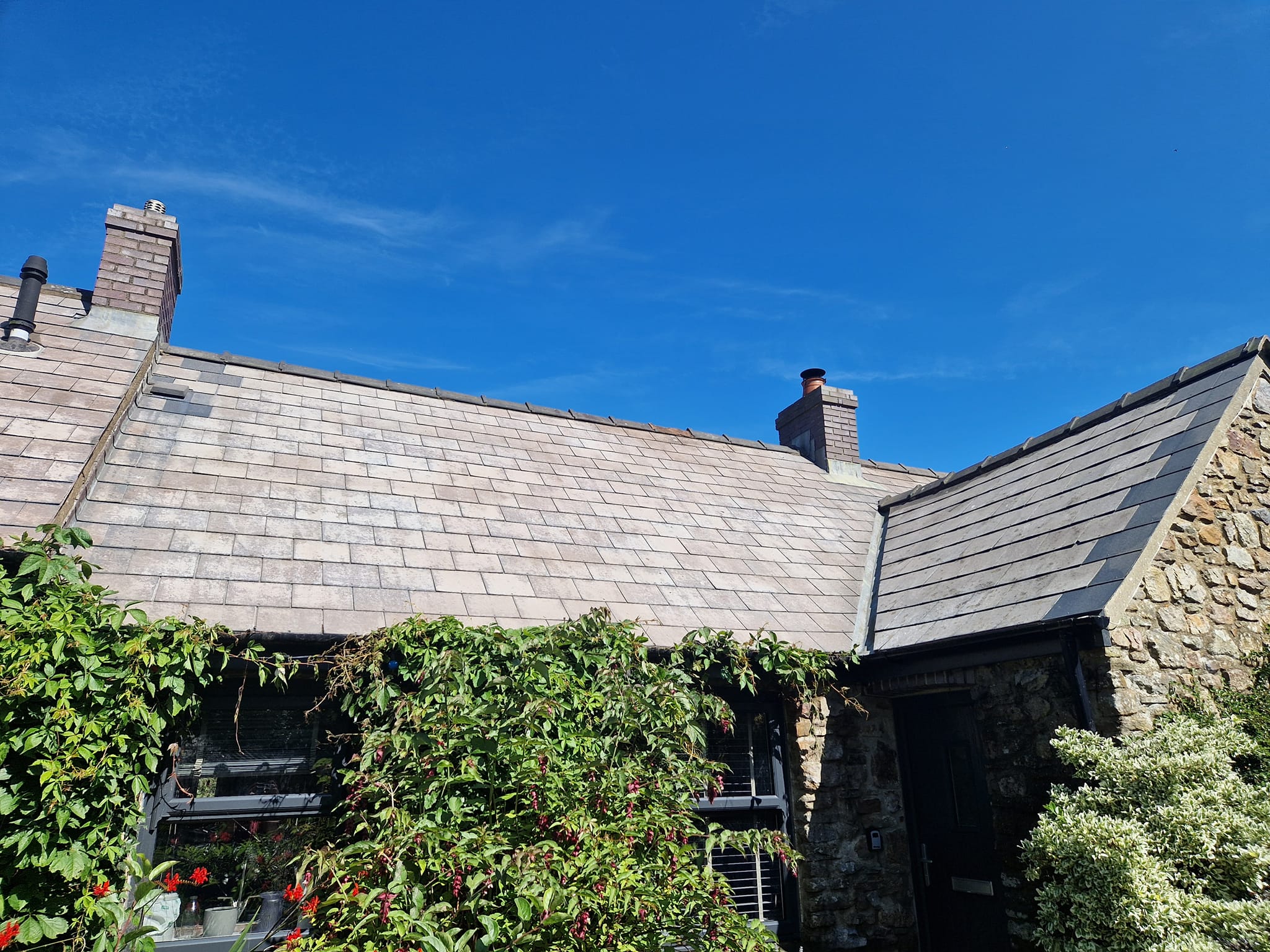 roof cleaning