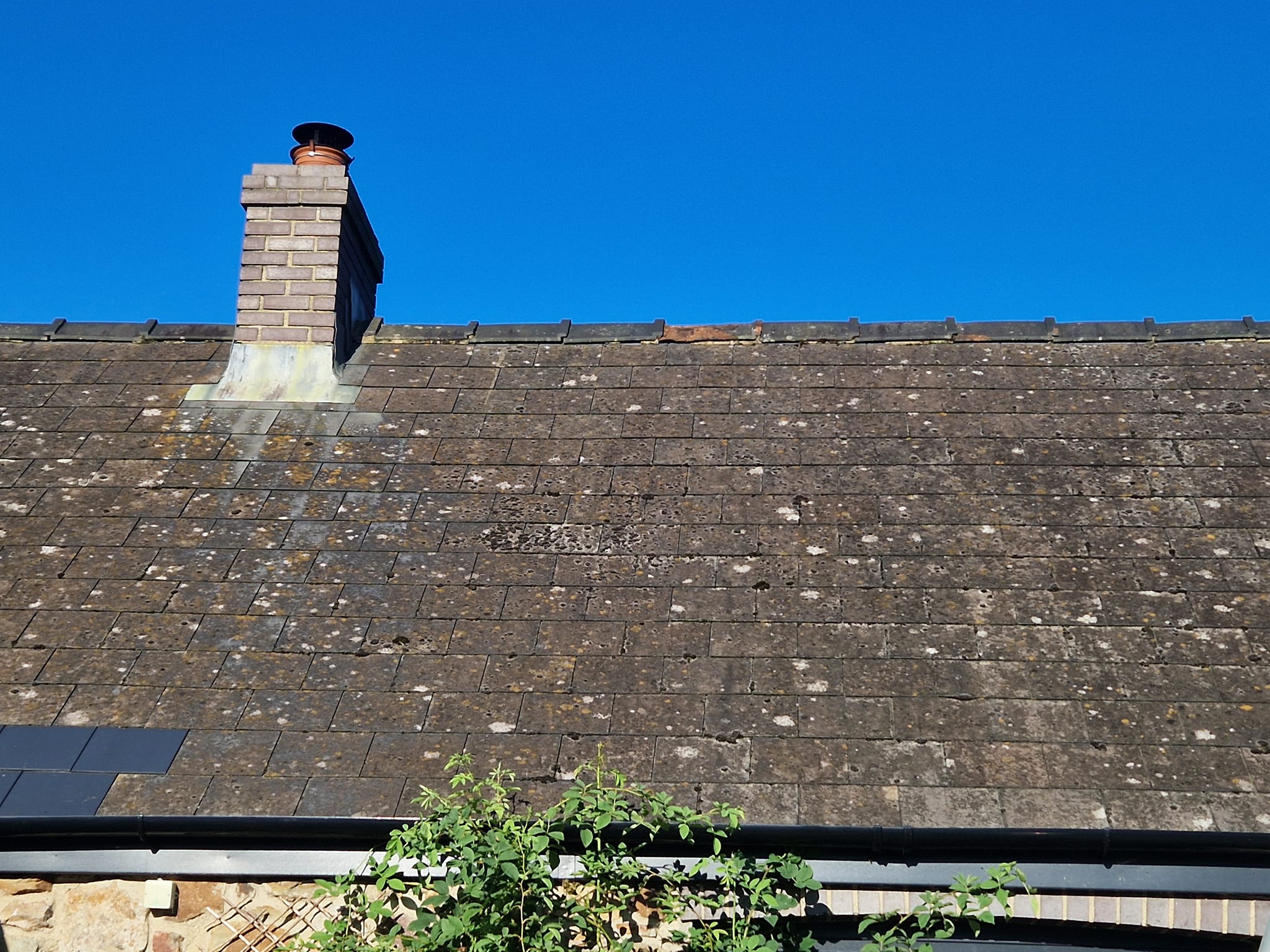 roof cleaning