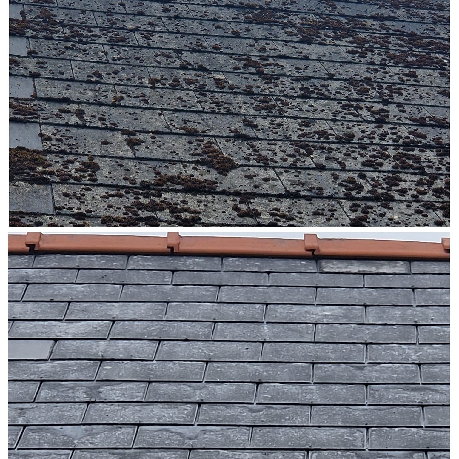 roof cleaning in Pembrokeshire